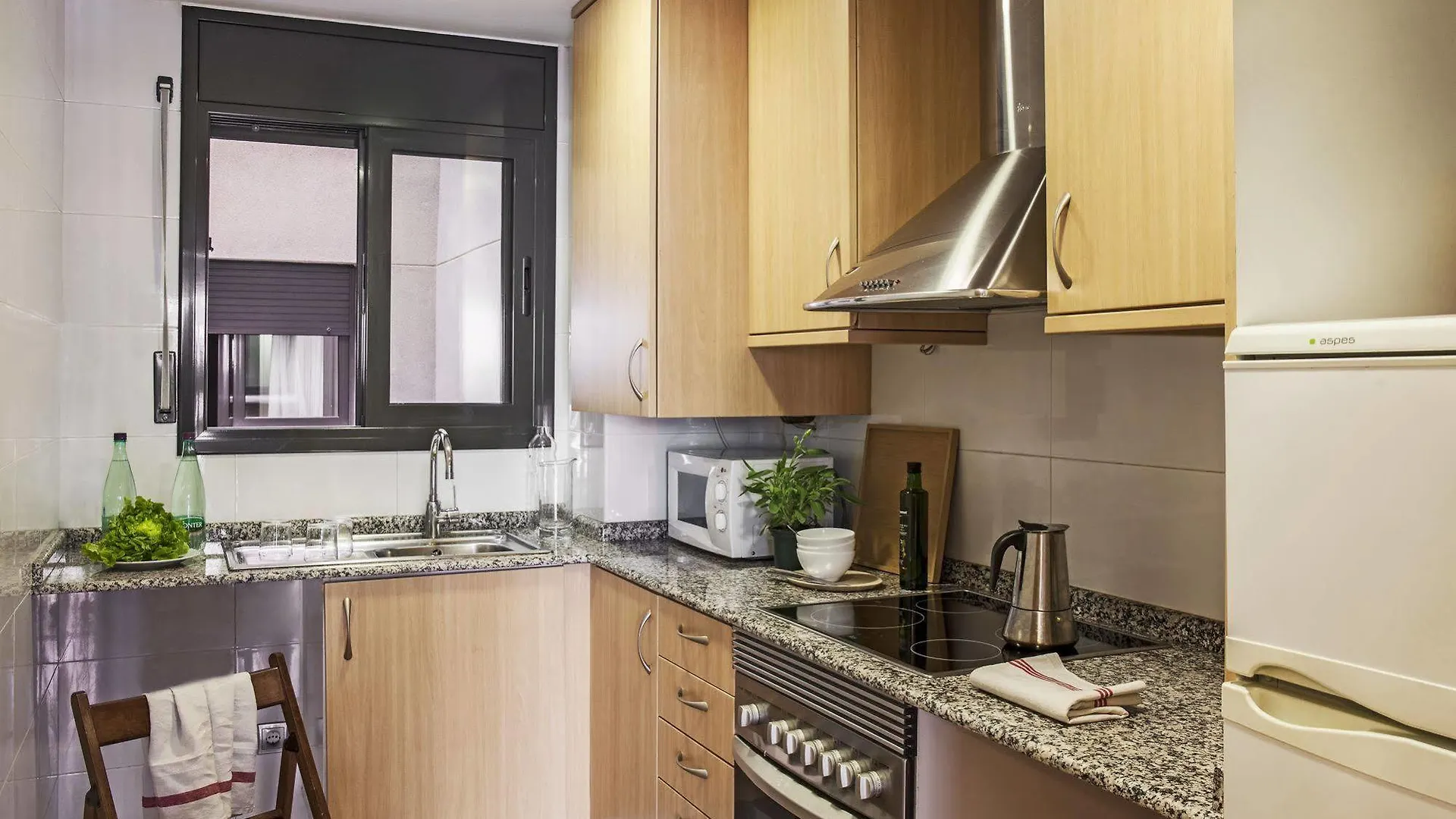 Ainb Eixample-Entenca Apartments Barselona